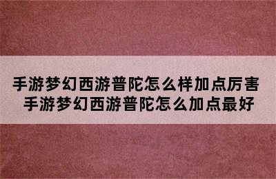 手游梦幻西游普陀怎么样加点厉害 手游梦幻西游普陀怎么加点最好